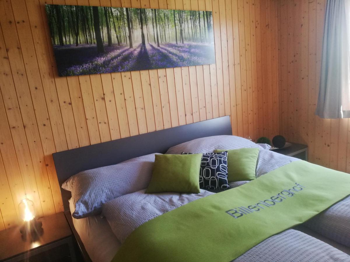 Billenberghof Apartment St. Gallen Ngoại thất bức ảnh